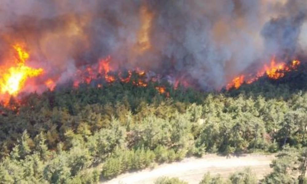 Άφαντη η Ρωσική Εκκλησία για βοήθεια στην πυρόπληκτη Ελλάδα-Μέχρι οι Ρώσοι Εβραίοι ξεκίνησαν έρανο για την Ζάκυνθο